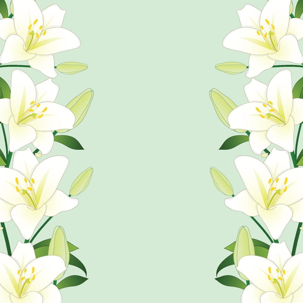 White Lily Border on Green Mint Background vector