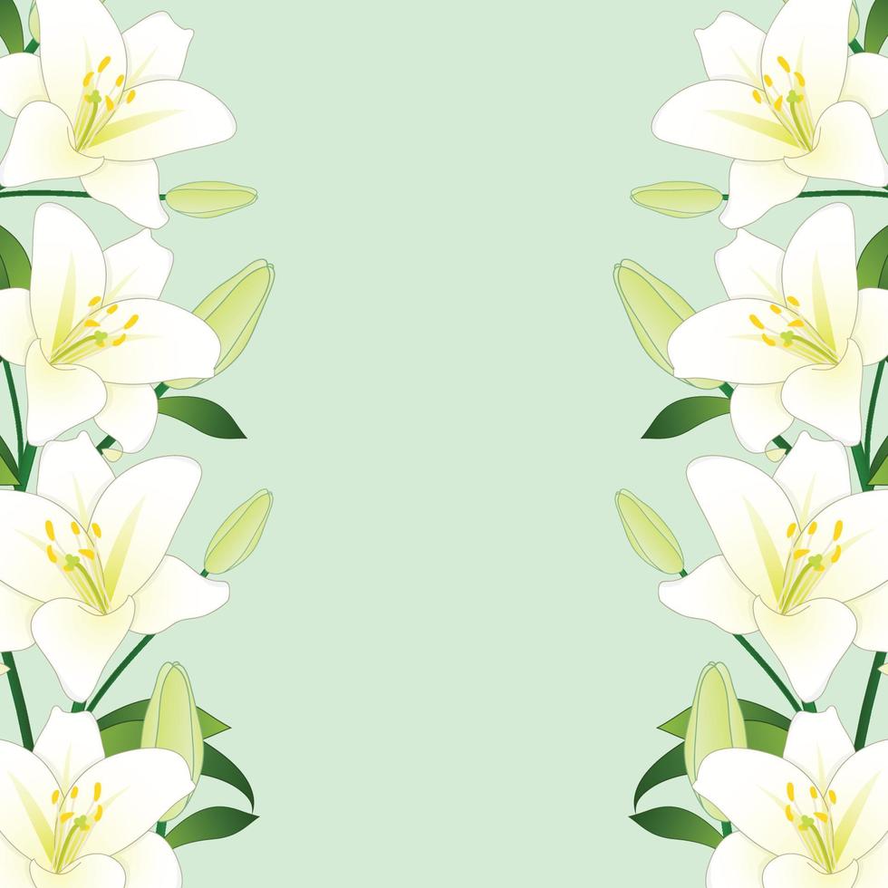 White Lily Border on Green Mint Background vector