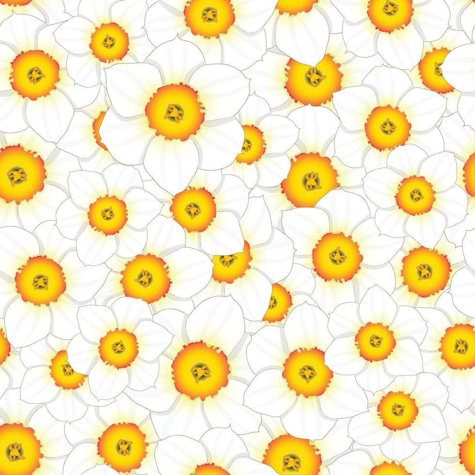 White Daffodil - Narcissus Seamless Background vector