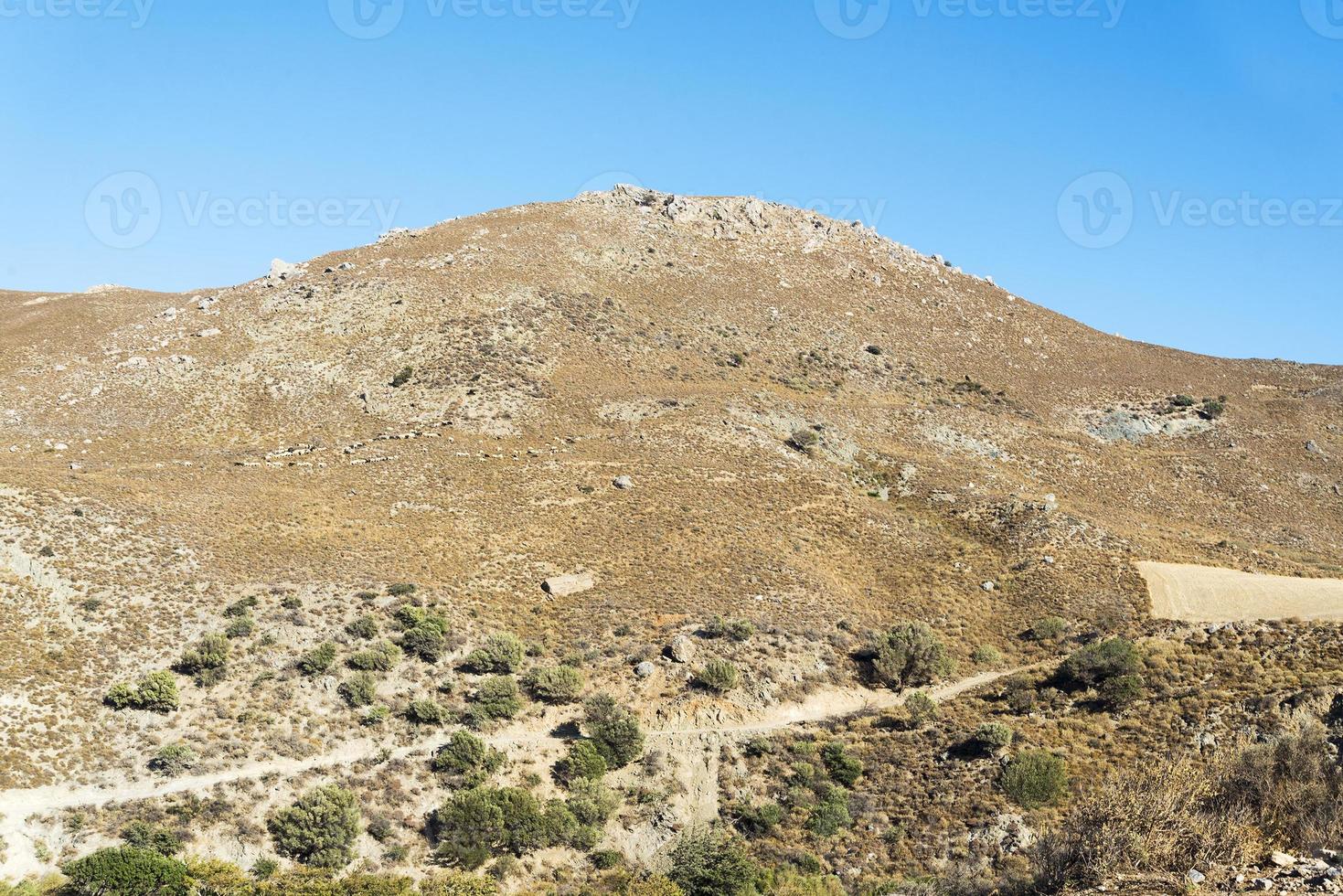 colinas con arbustos en un día soleado. foto