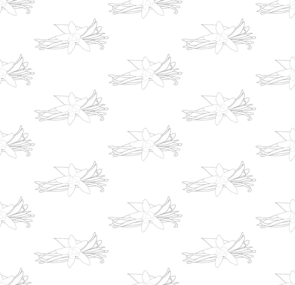 Vanilla Planifolia Flower Seamless on White Background vector