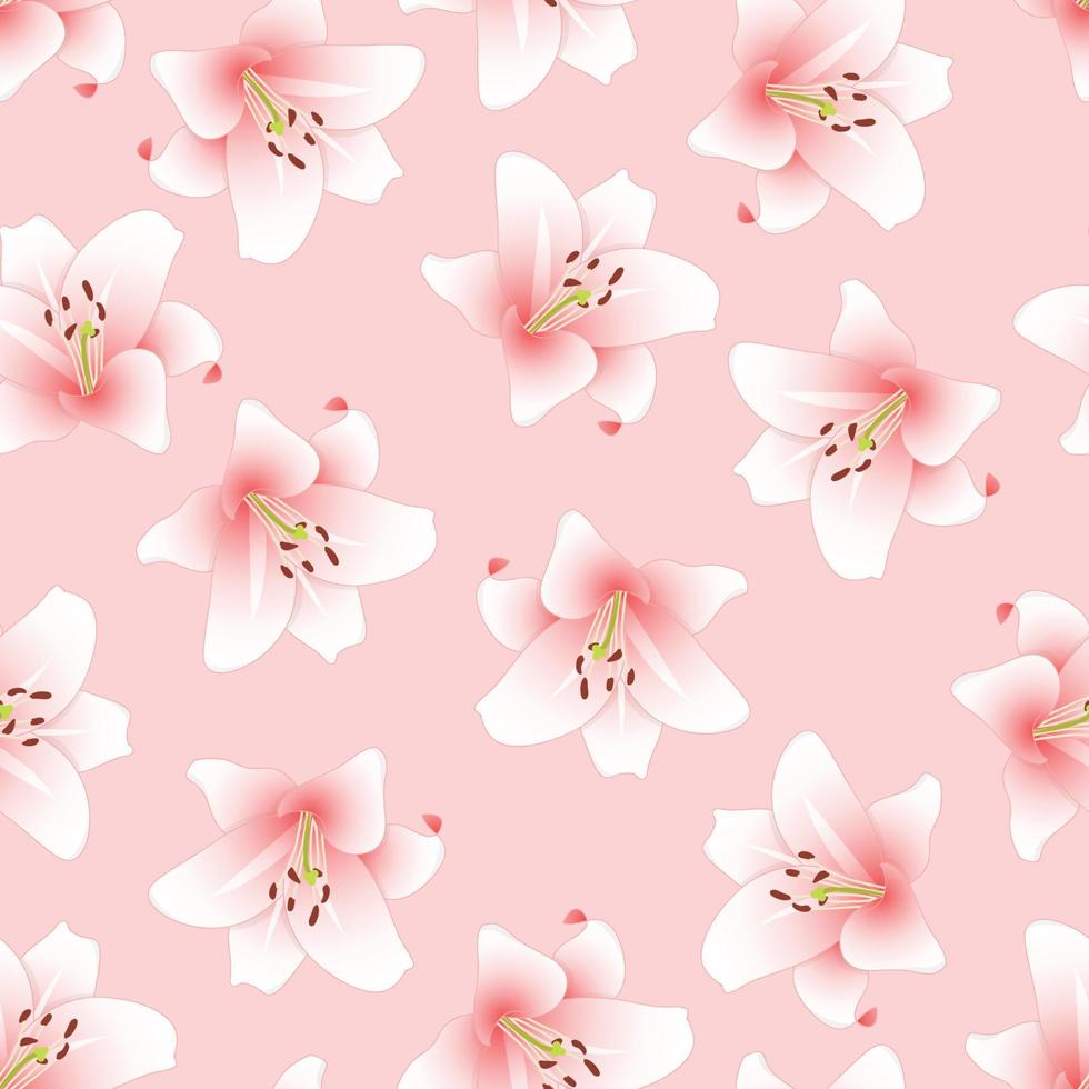 Pink Lily on Light Pink Background vector