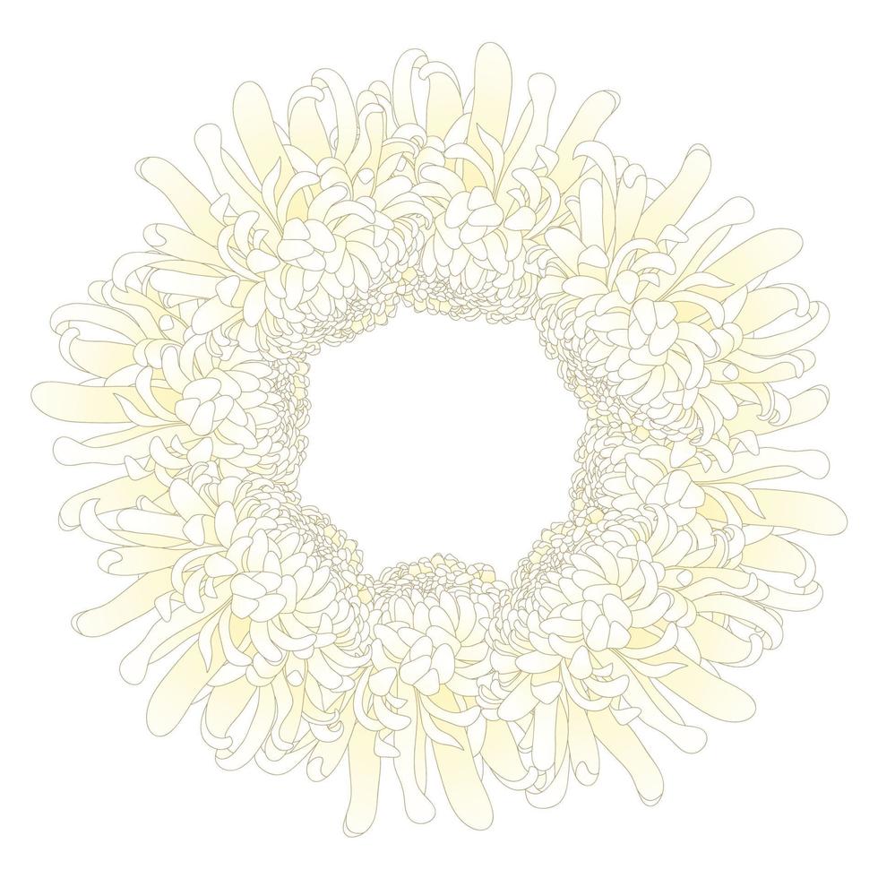corona de flores de crisantemo blanco. vector