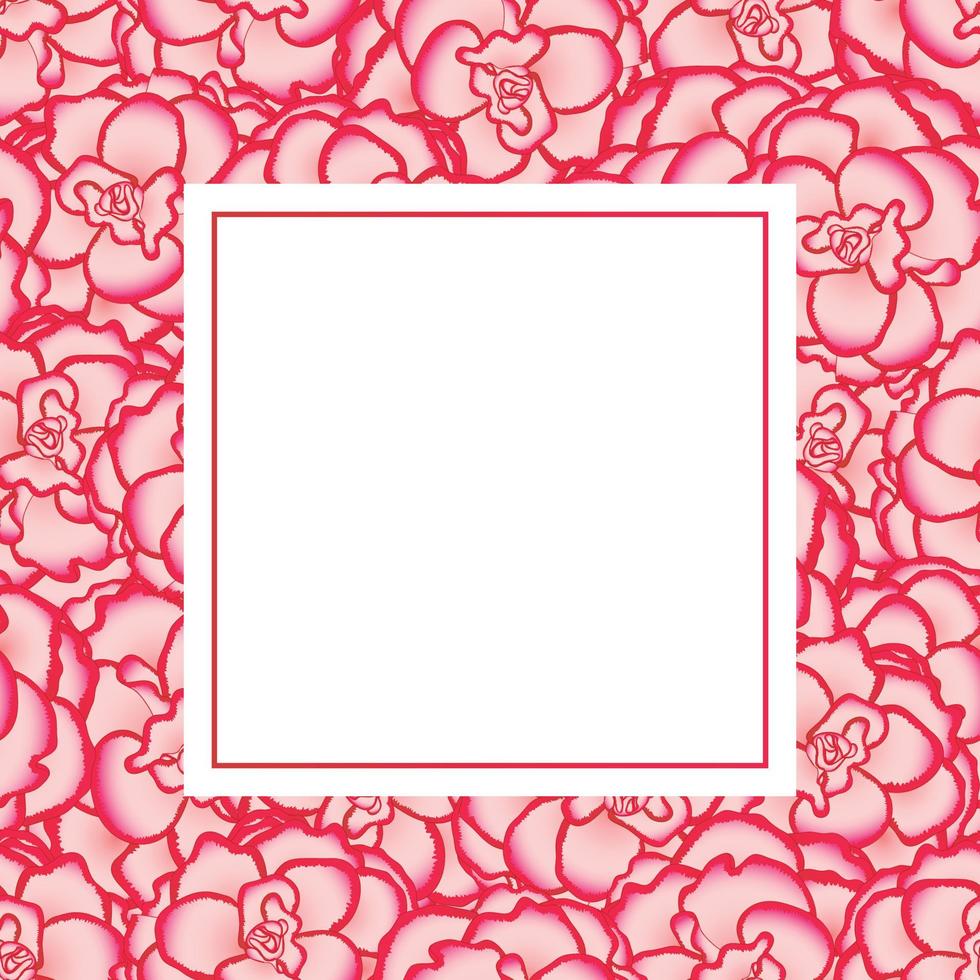 Pink Begonia Flower, Picotee First Love Banner Card vector