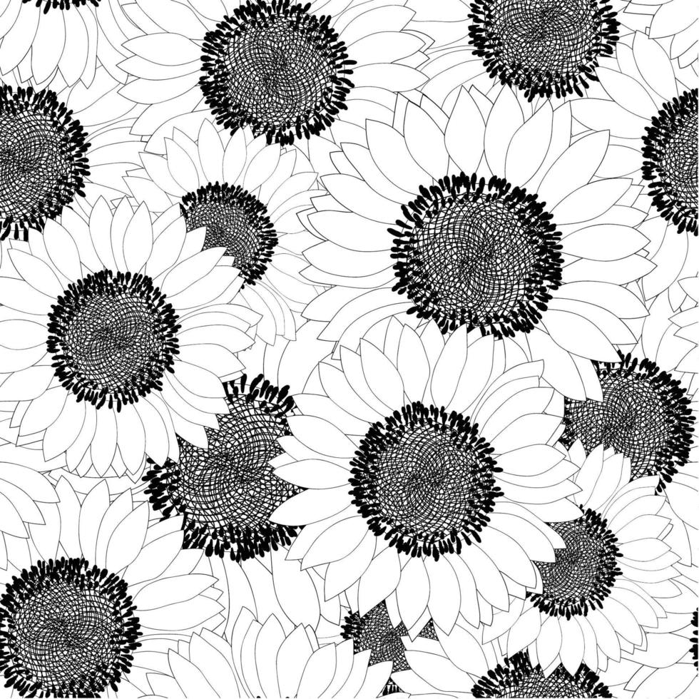 Sunflower Outline Seamless Background vector