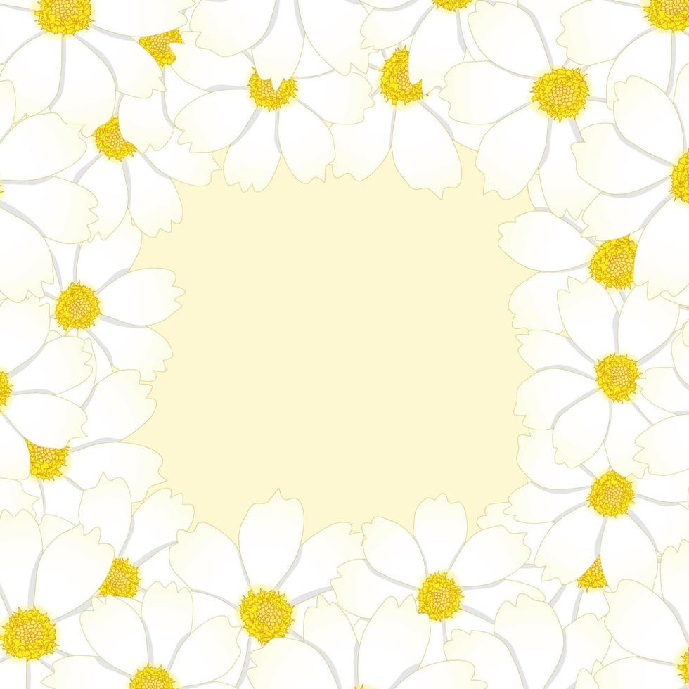White Cosmos Flower Border. vector