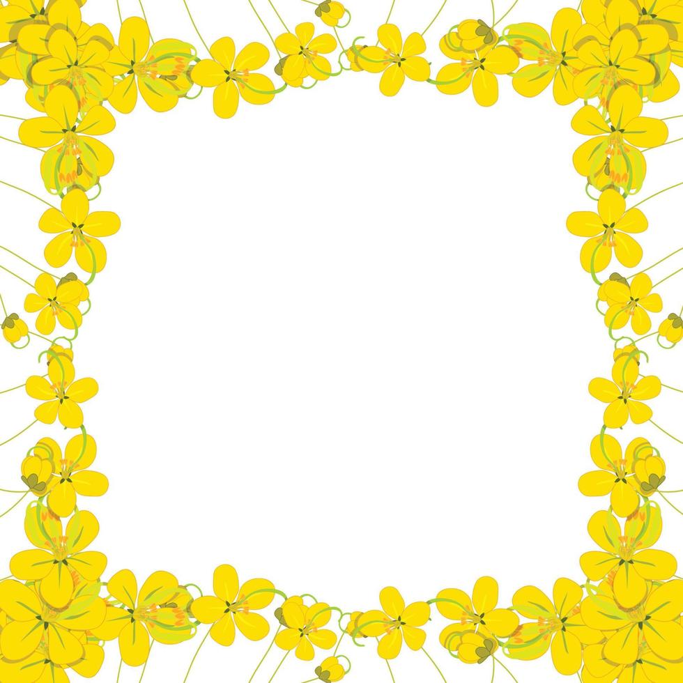 Yellow Cassia Fistula - Golden Shower Flower Border2 vector