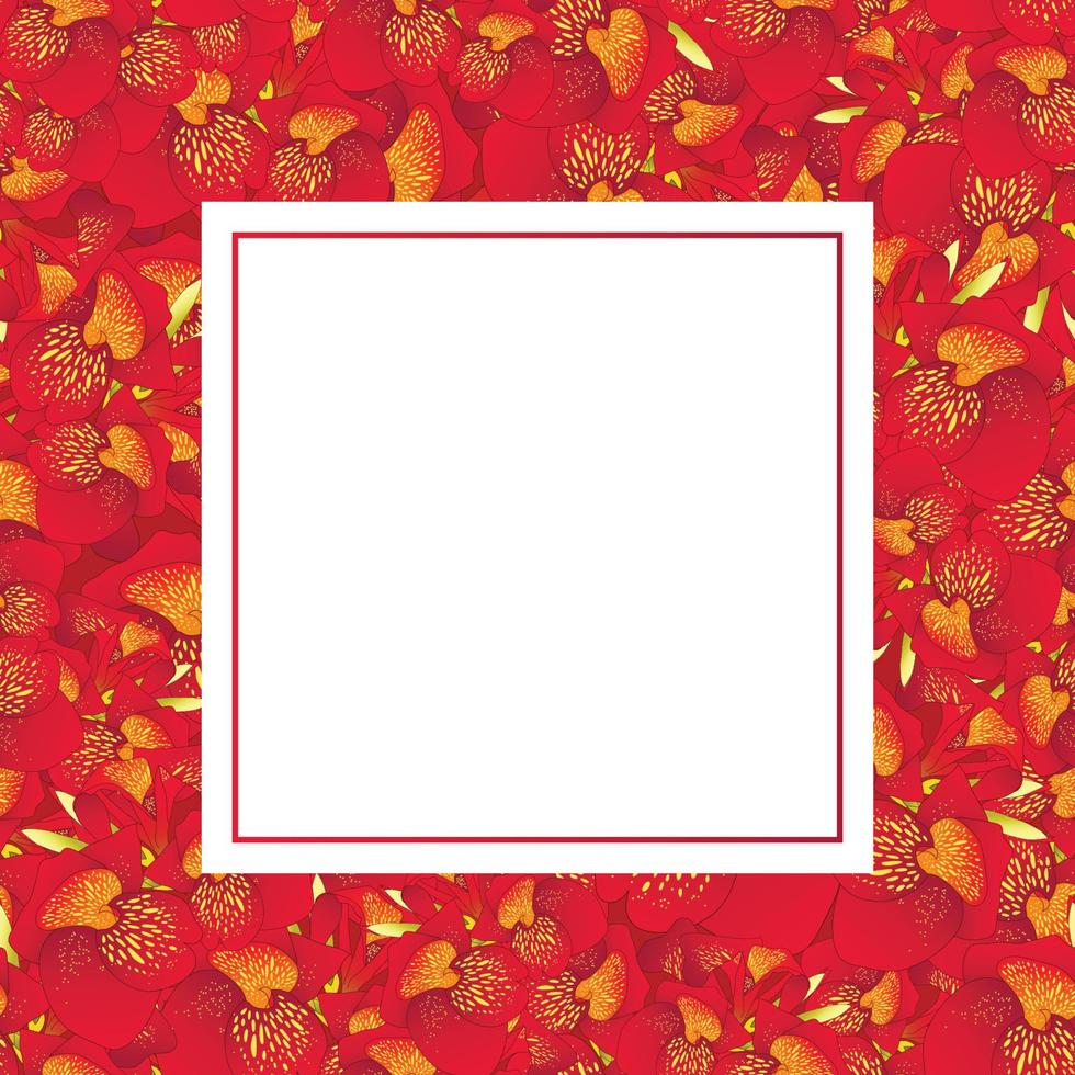 Red Canna lily Banner Card vector