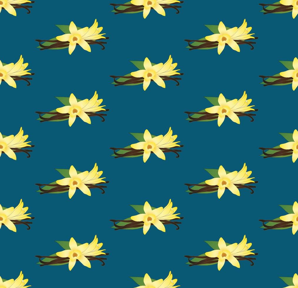 Yellow Vanilla Planifolia Flower on Indigo Blue Background vector