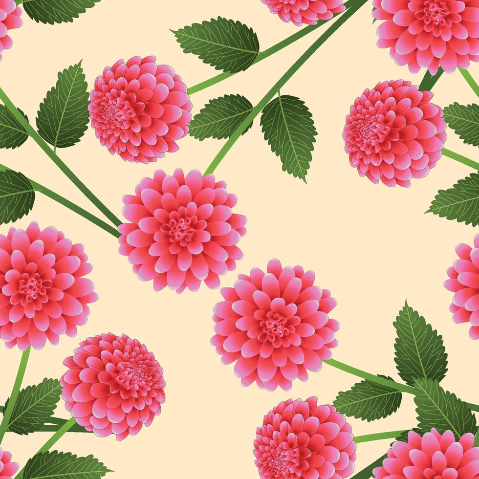 Pink Dahlia on Beige Ivory Background vector