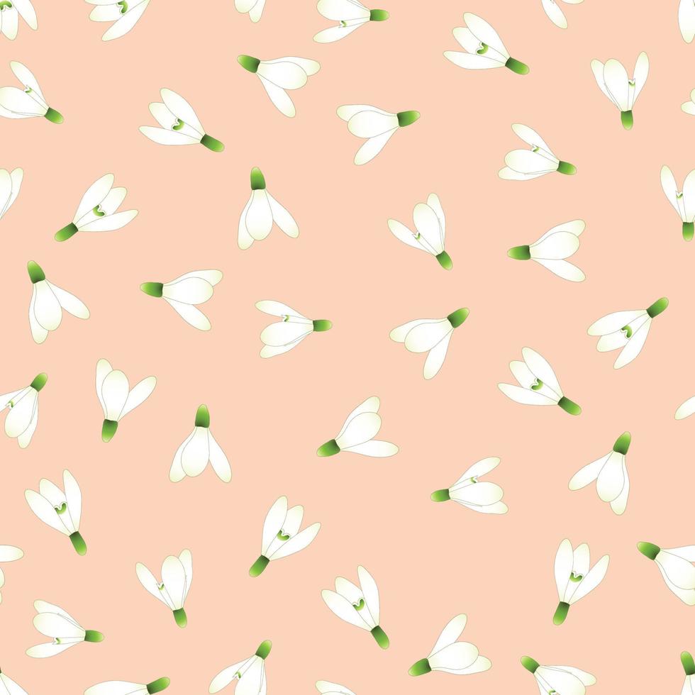 White Snowdrop Seamless on Orange Salmon Background. vector