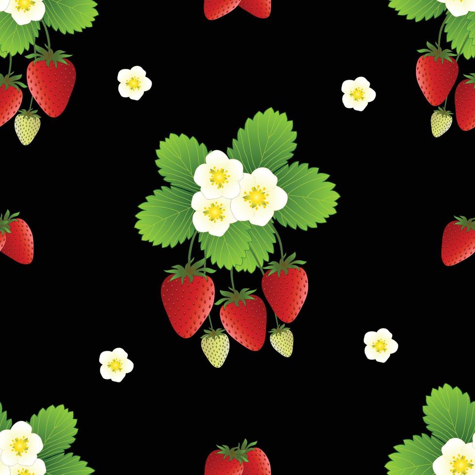 Red Strawberry and Flower on Black Background vector