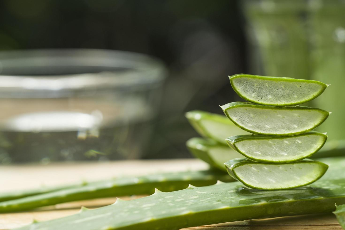 aloe vera fresco foto