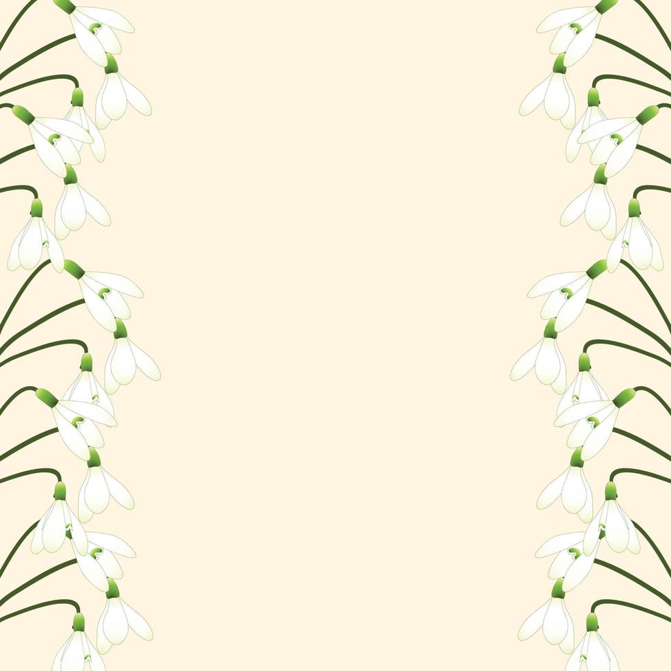 White Snowdrop Border vector