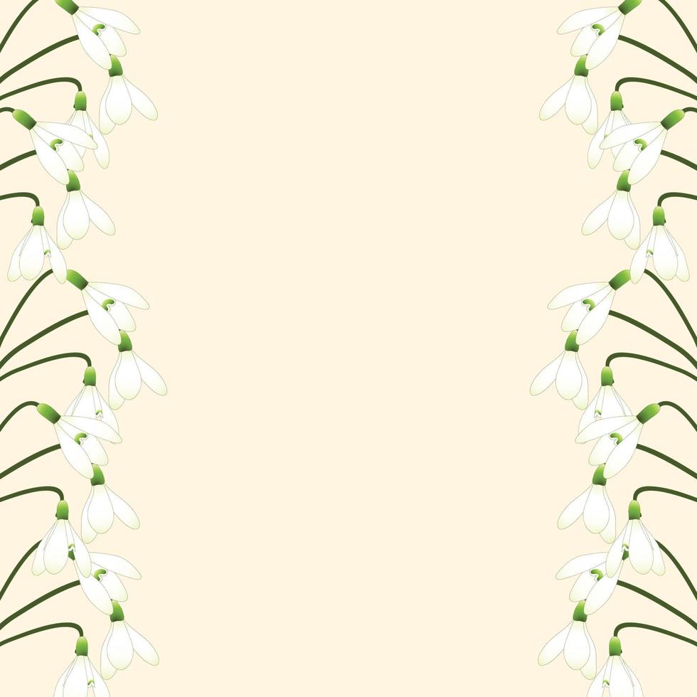 borde de campanilla blanca vector