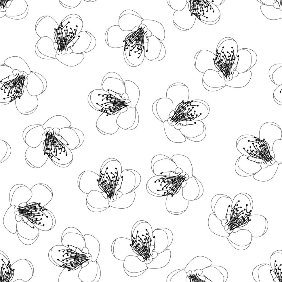 Momo Peach Flower Blossom Outline on White Background vector