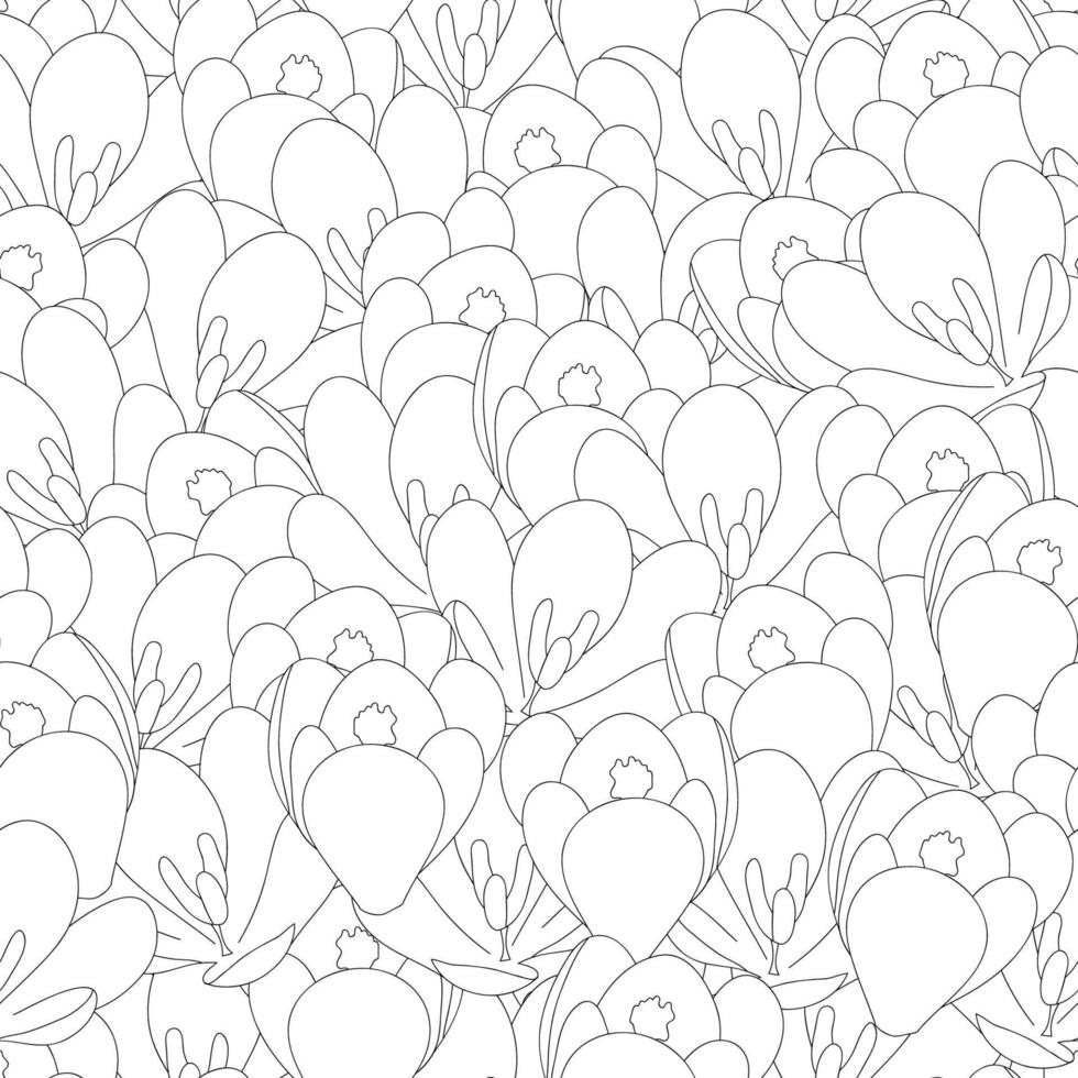 Crocus Flower Outline Seamless Background vector