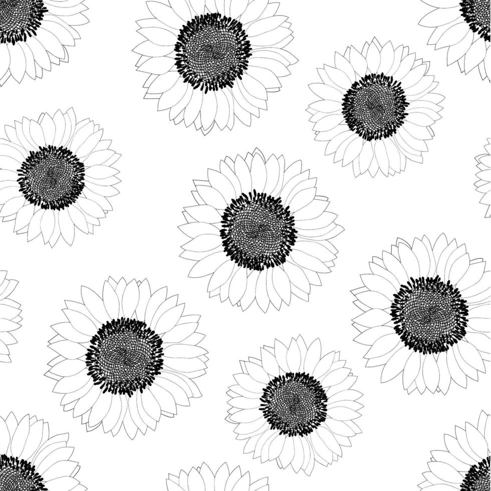 Sunflower Outline Seamless on White Background. vector