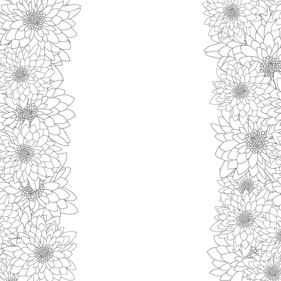Chrysanthemum Outline Border isolated on White Background. vector