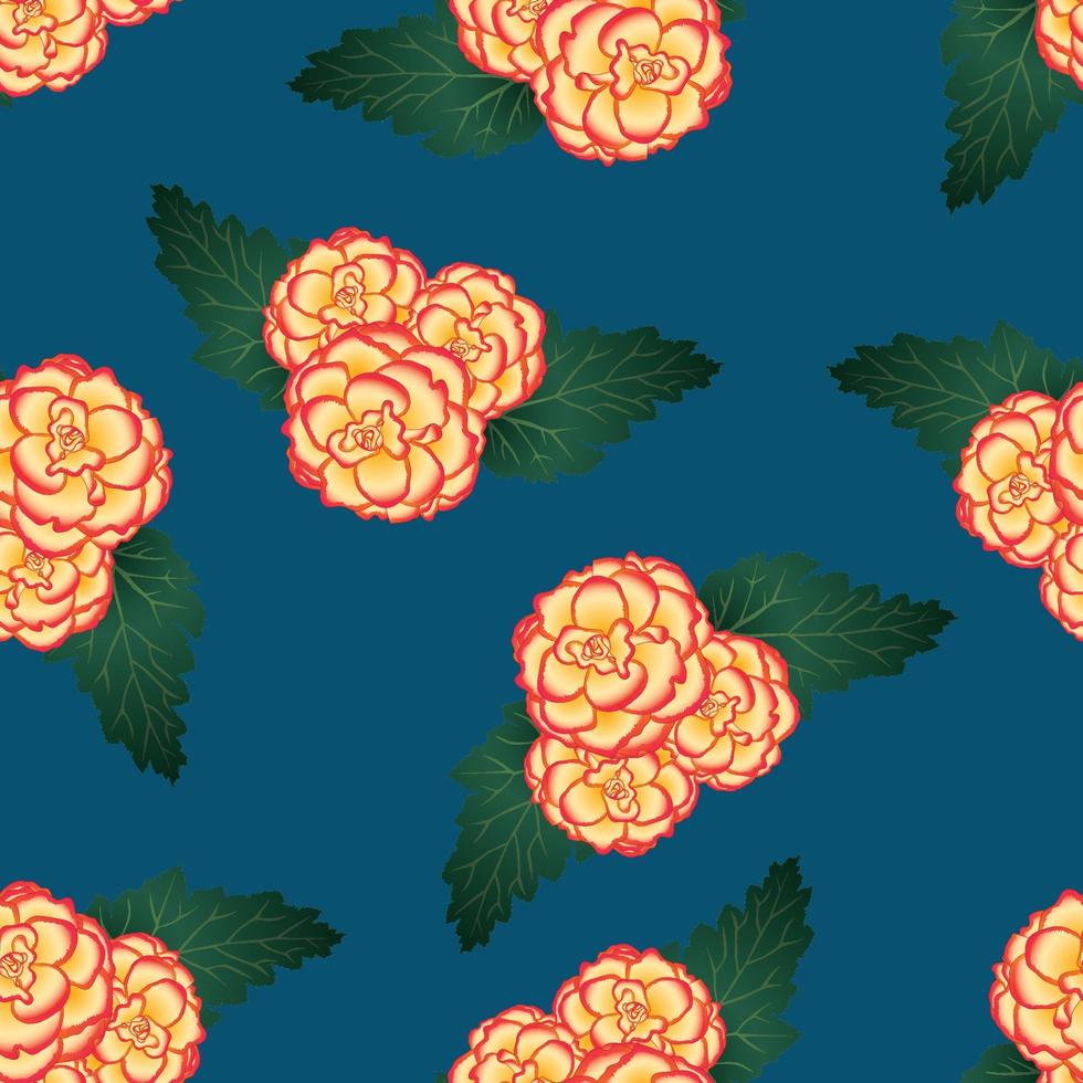 Begonia Flower, Picotee Sunburst on Indigo Blue Background. vector