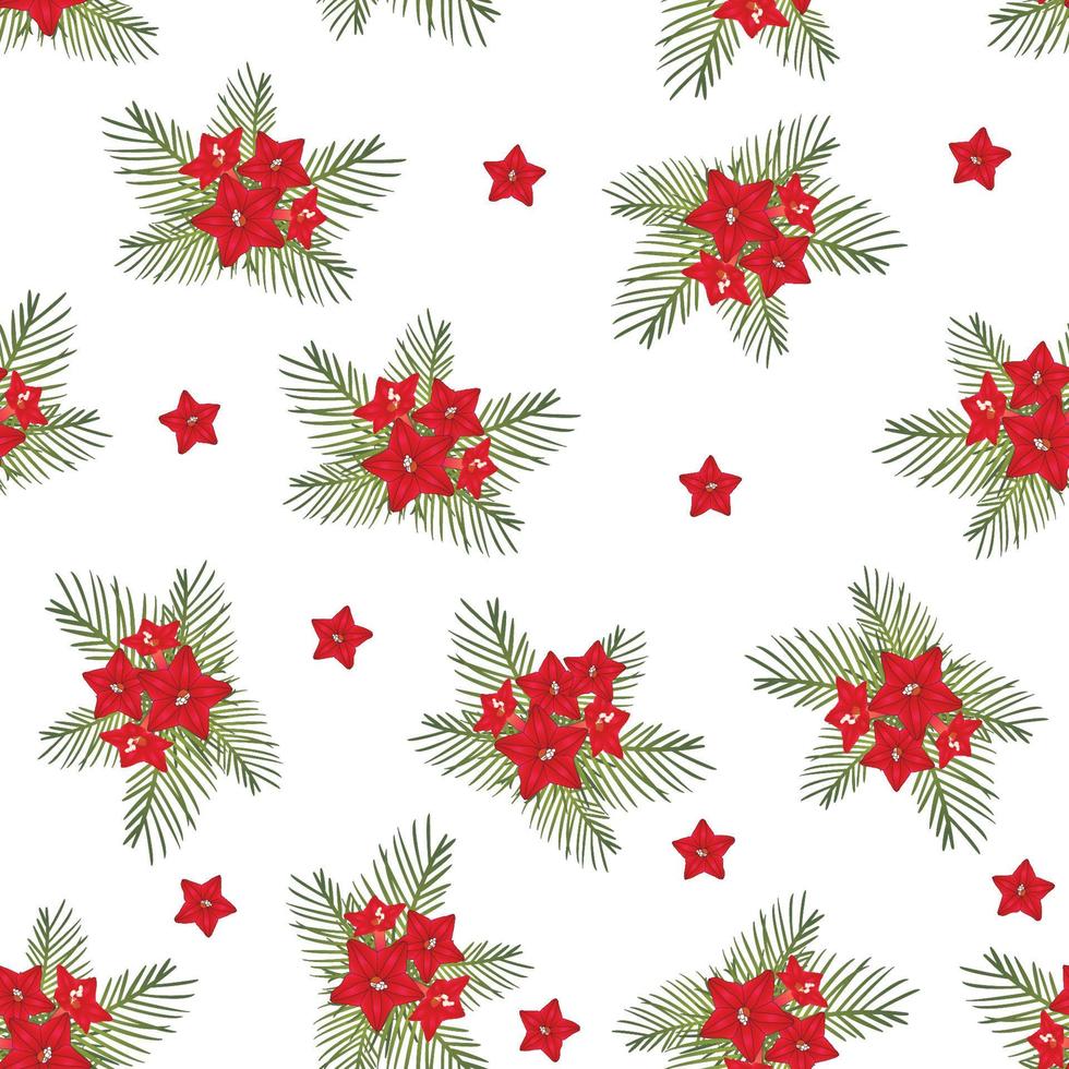 Cypress vine Flower on Christmas White Background vector
