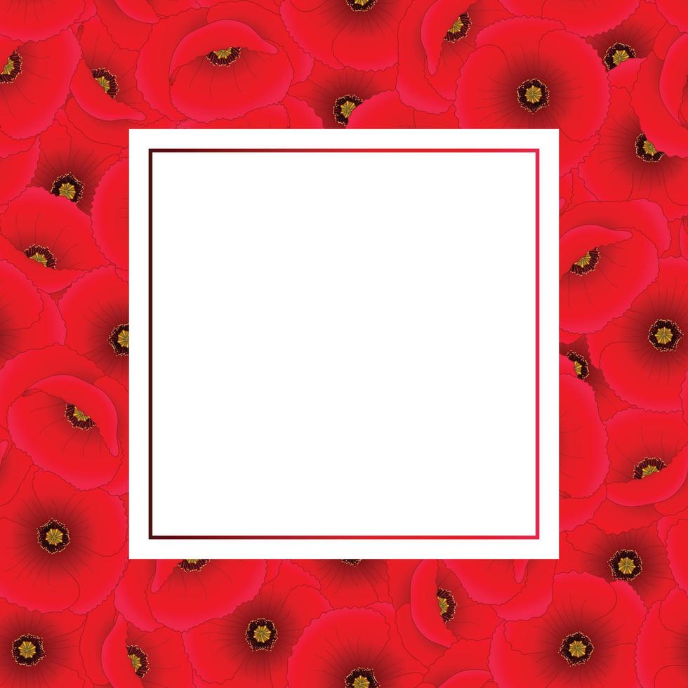 Red Corn Poppy Banner Card vector