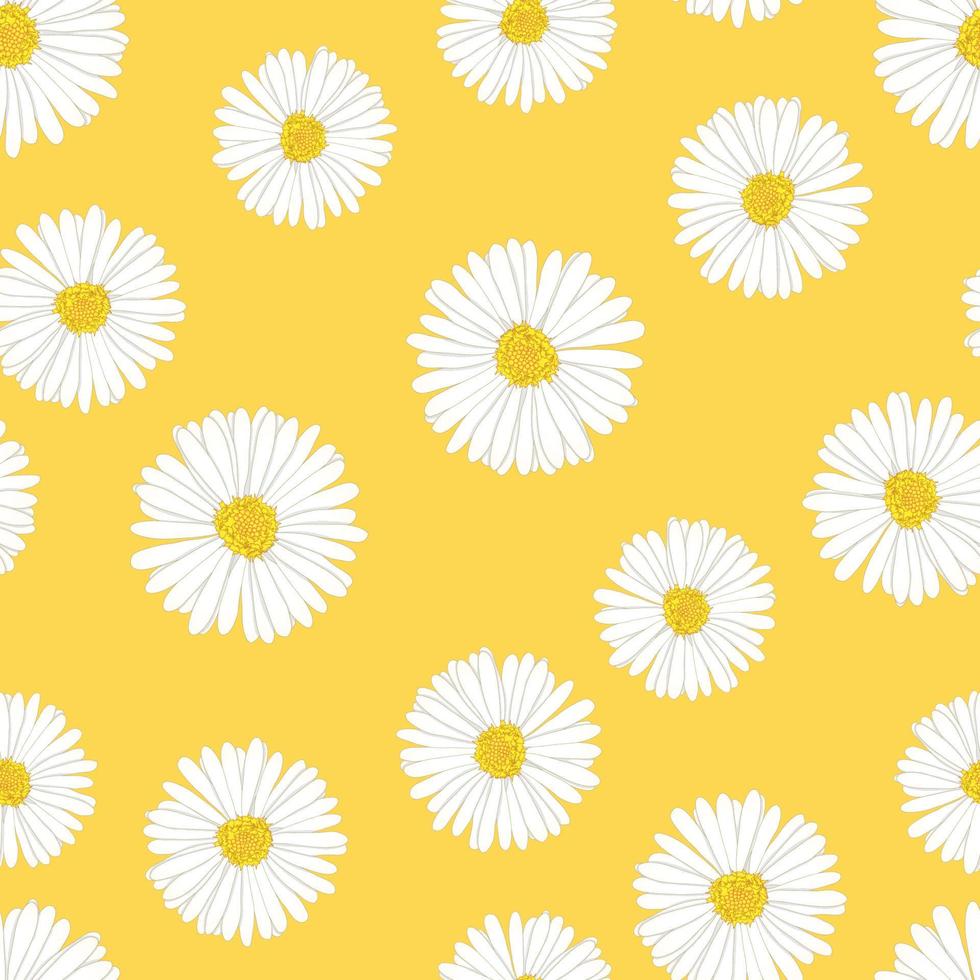 White Aster, Daisy Seamless on Yellow Background vector