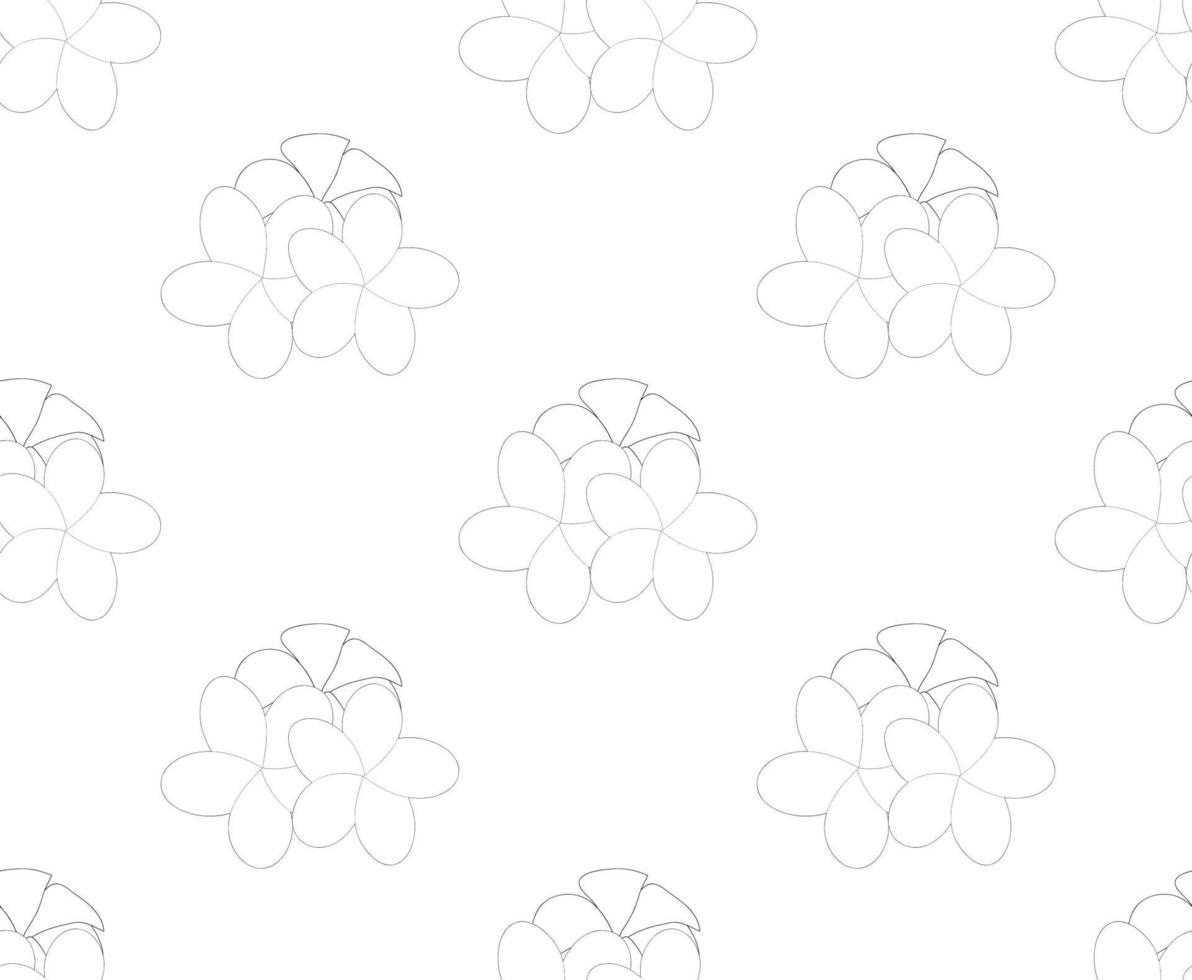 Plumeria, Frangipani Seamless on White Background vector