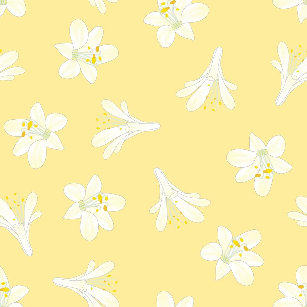 Snow White Agapanthus on Yellow Background vector