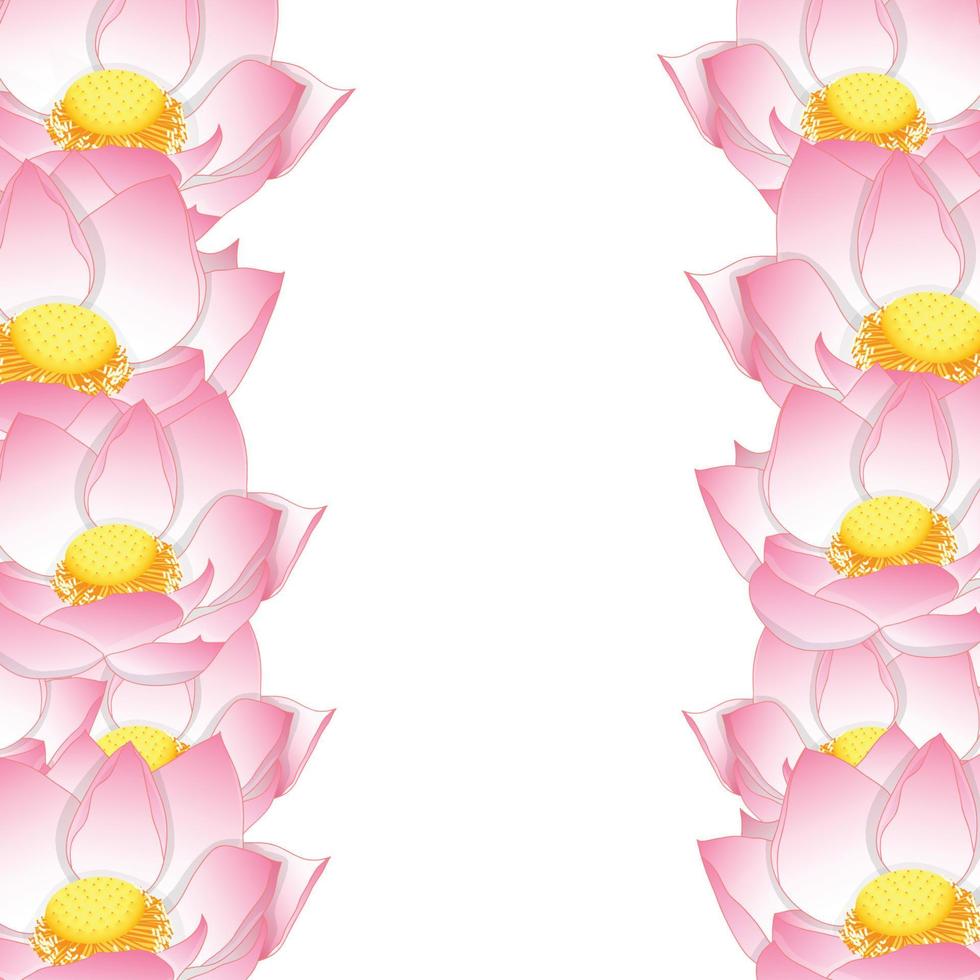 Pink Indian lotus Border vector