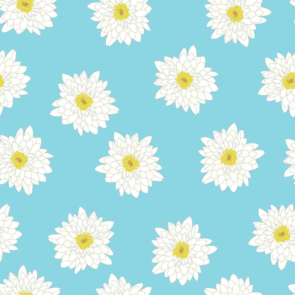 White Chrysanthemum on Blue Background vector
