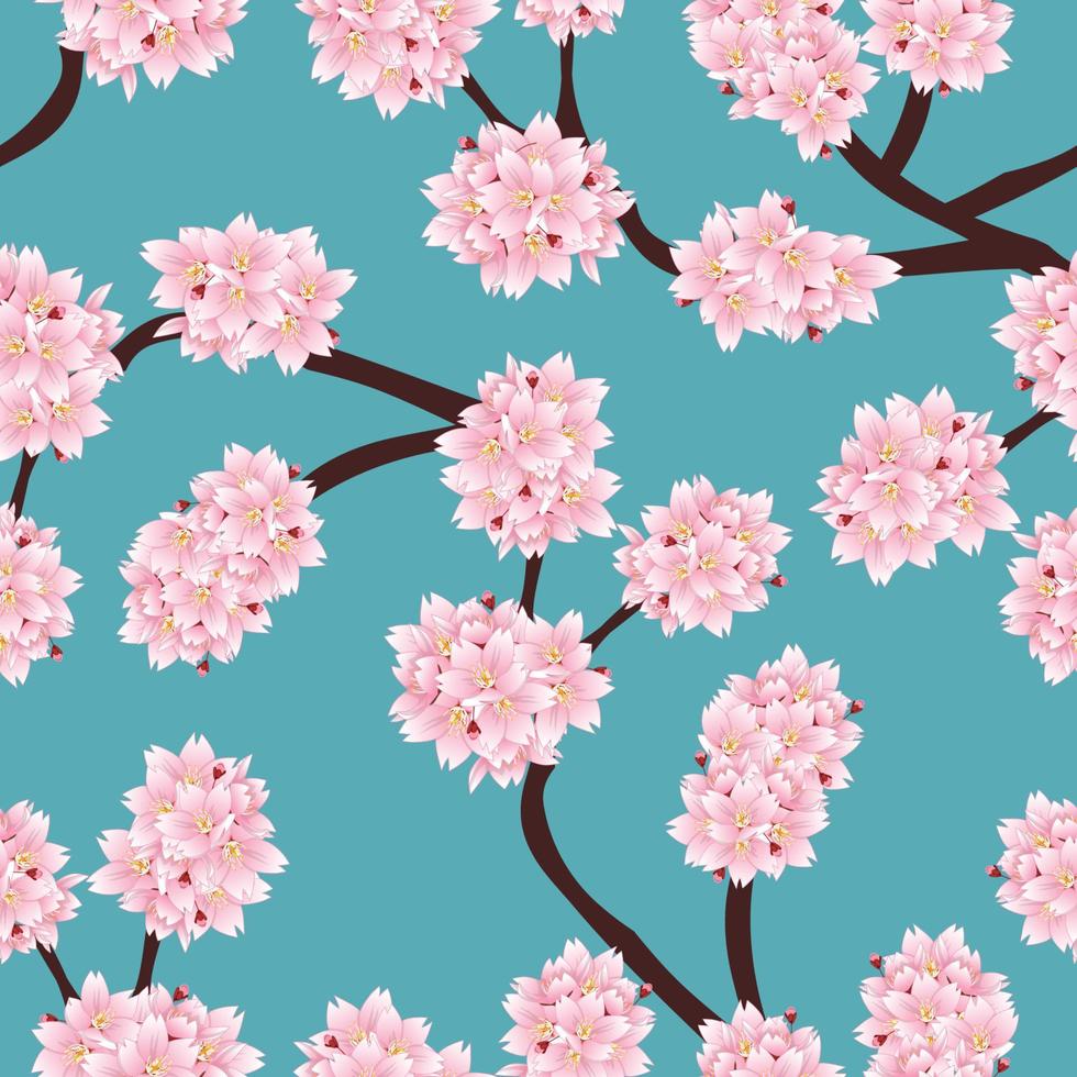 Prunus serrulata Outline - Cherry blossom, Sakura on Blue Background. vector