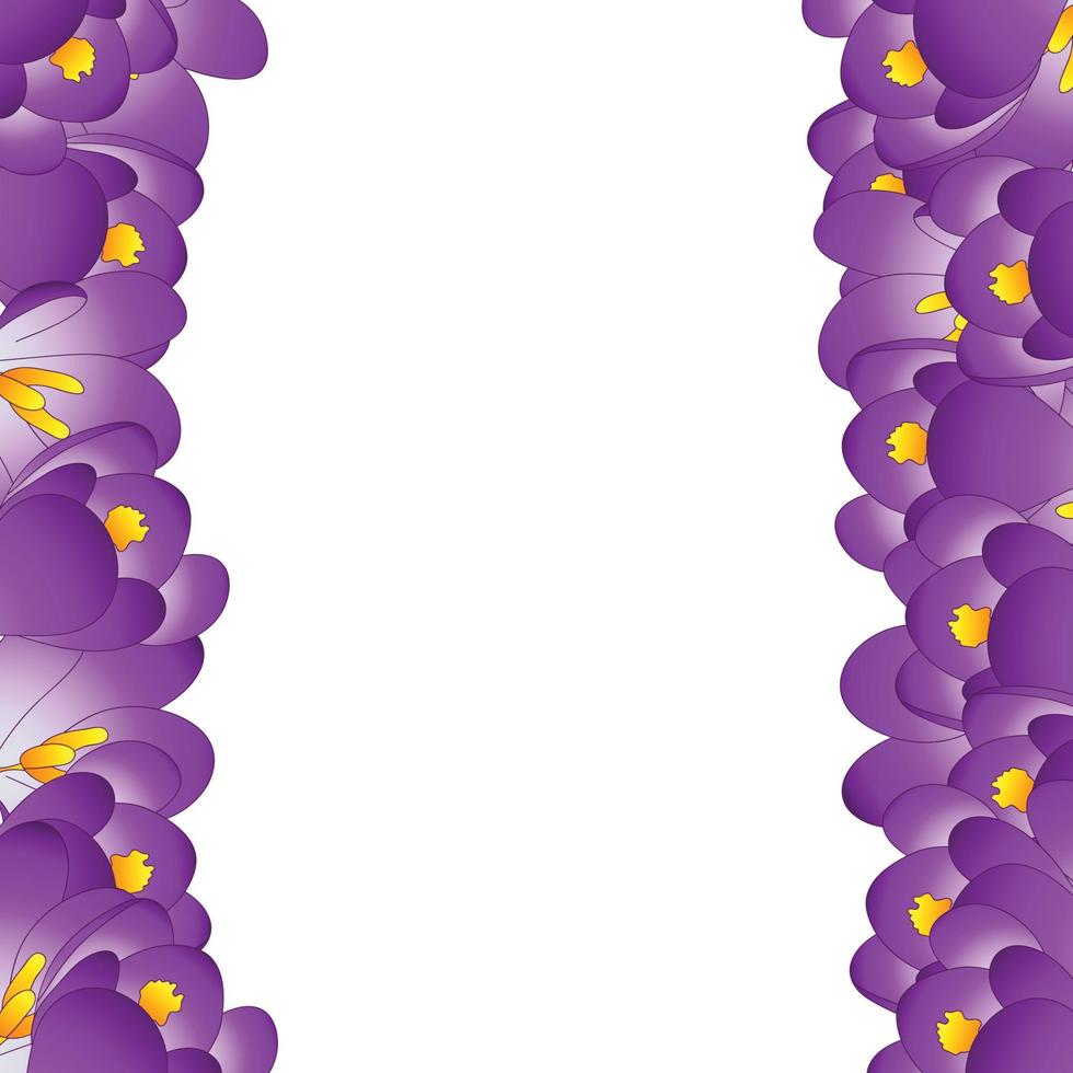 Purple Crocus Flower Border vector