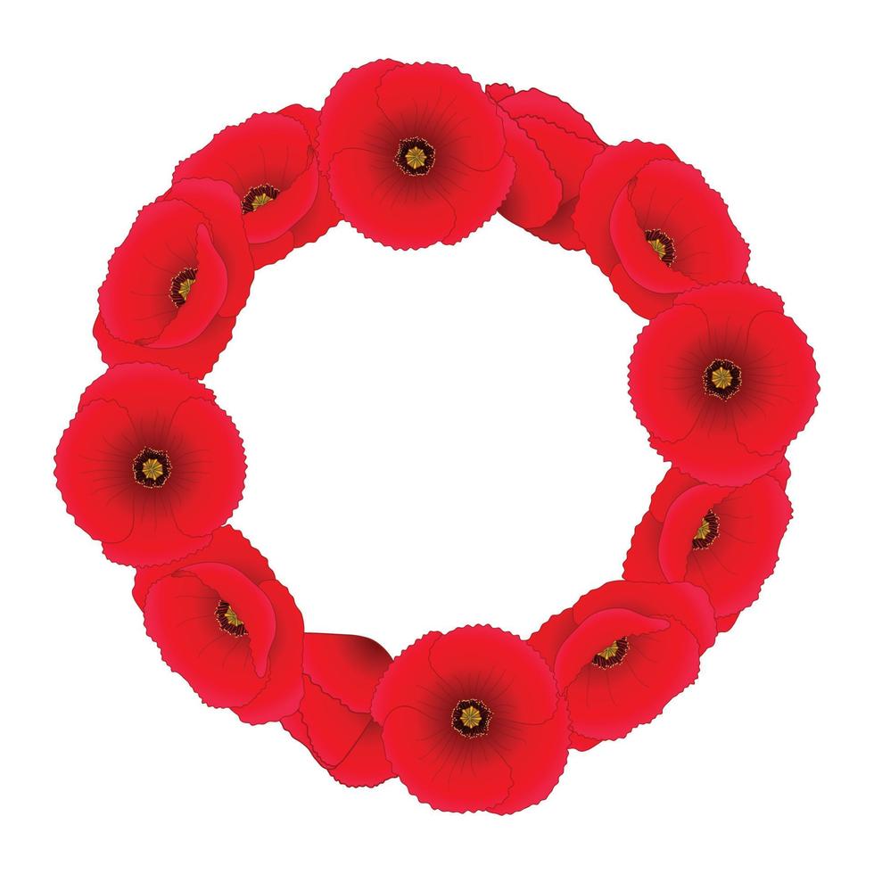 Red Corn Poppy Weath vector
