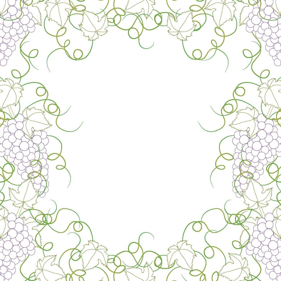 Colorful Line Grape Frame Vine on White Background vector