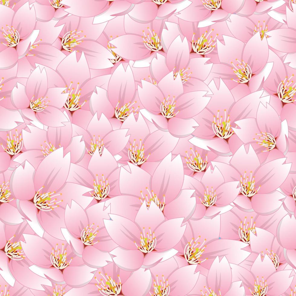 fondo transparente de flor de cerezo de sakura vector