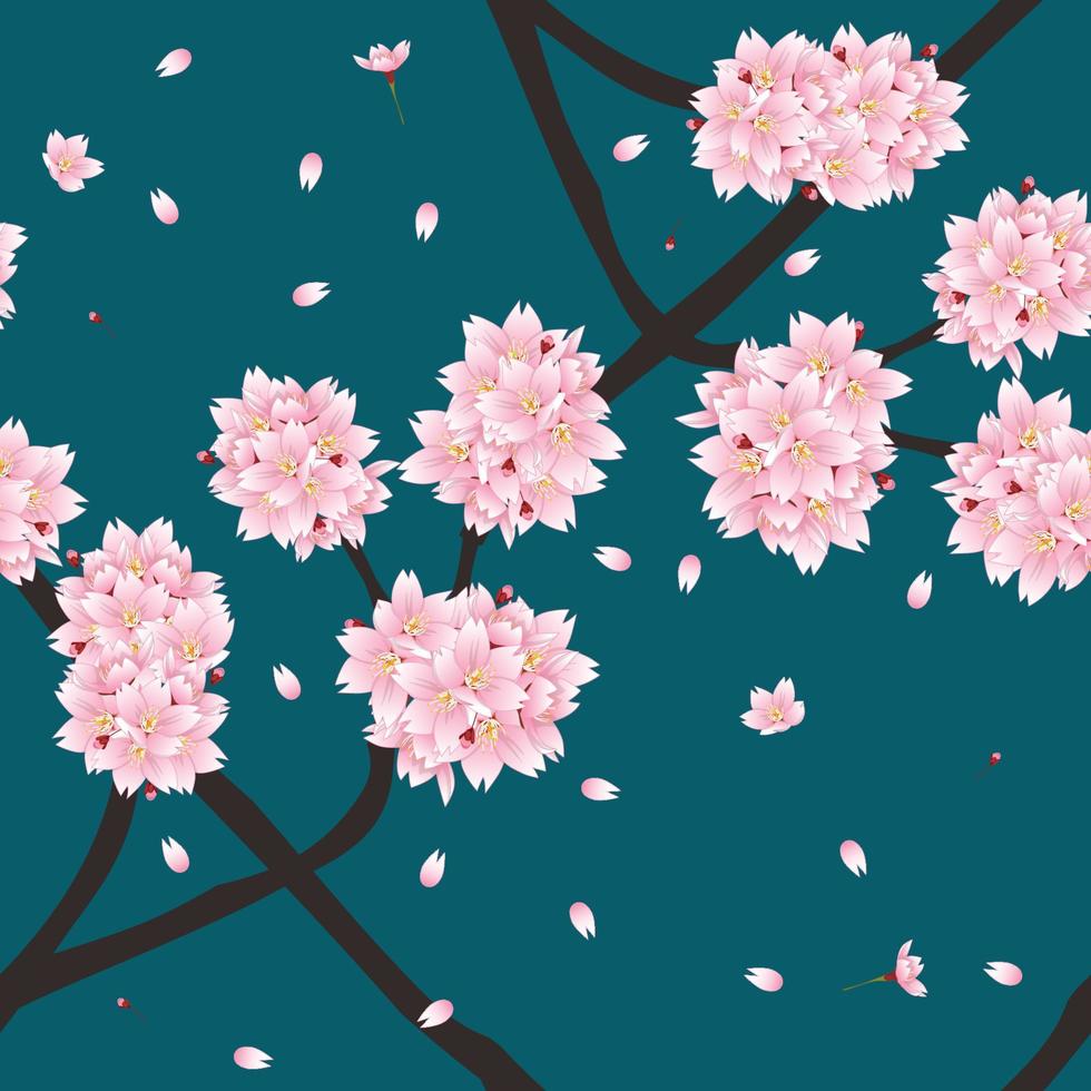 Sakura Cherry Blossom Flower on Indigo Green Teal Background. vector