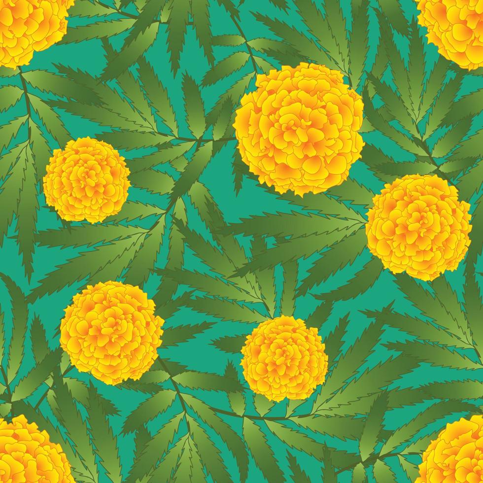 flor de caléndula - tagetes sobre fondo verde vector