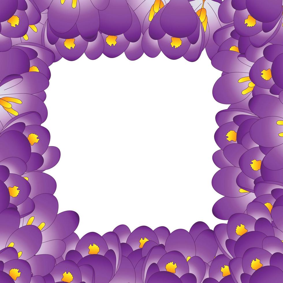 Purple Crocus Flower Border. vector