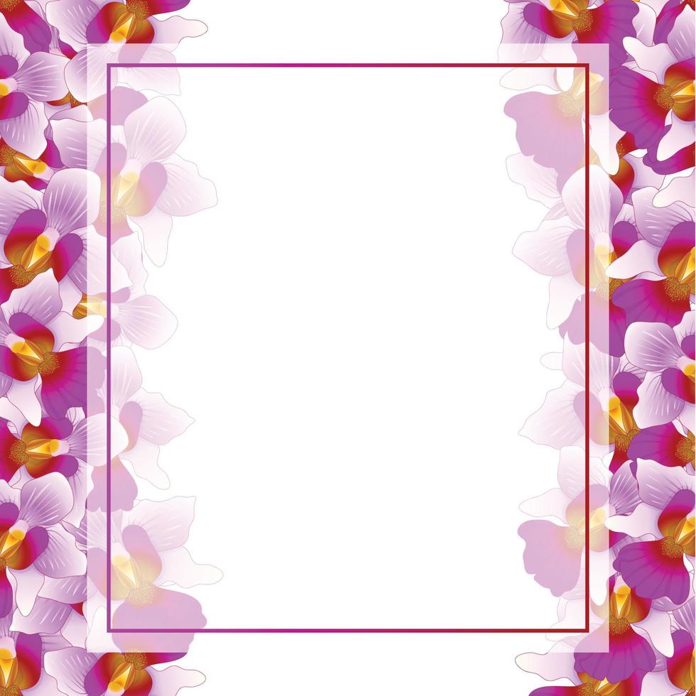 Purple Vanda Miss Joaquim Orchid Banner Card Border vector
