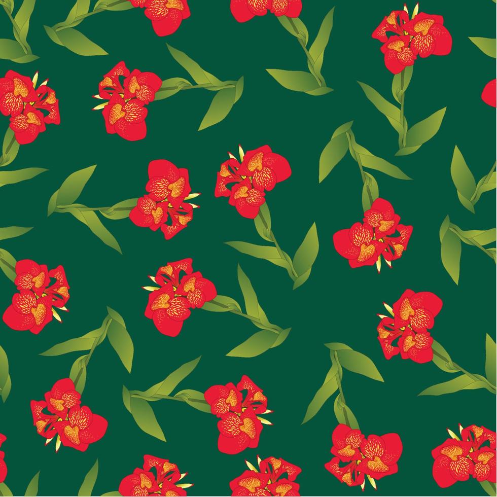 Red Canna lily on Green Background vector