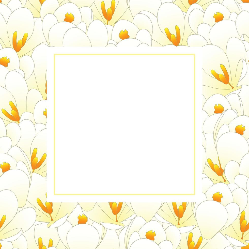tarjeta de banner de flor de azafrán blanco vector