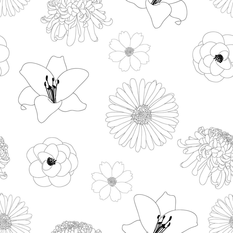 Chrysanthemum, Aster, Camellia, Cosmos and Lily Flower Background Outline. vector