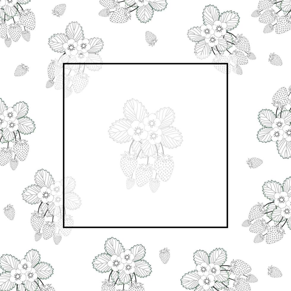 Strawberry and Flower Outline Banner on White Background2 vector