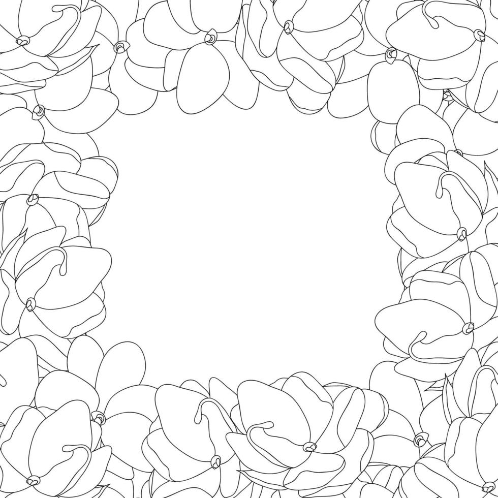 Arabian Jasmine Outline Border vector