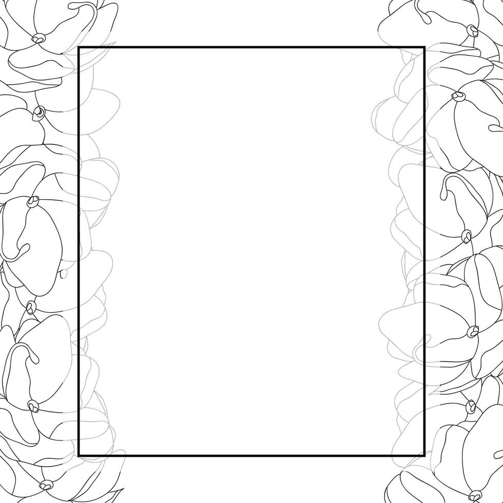 Arabian Jasmine Outline Banner Card Border vector