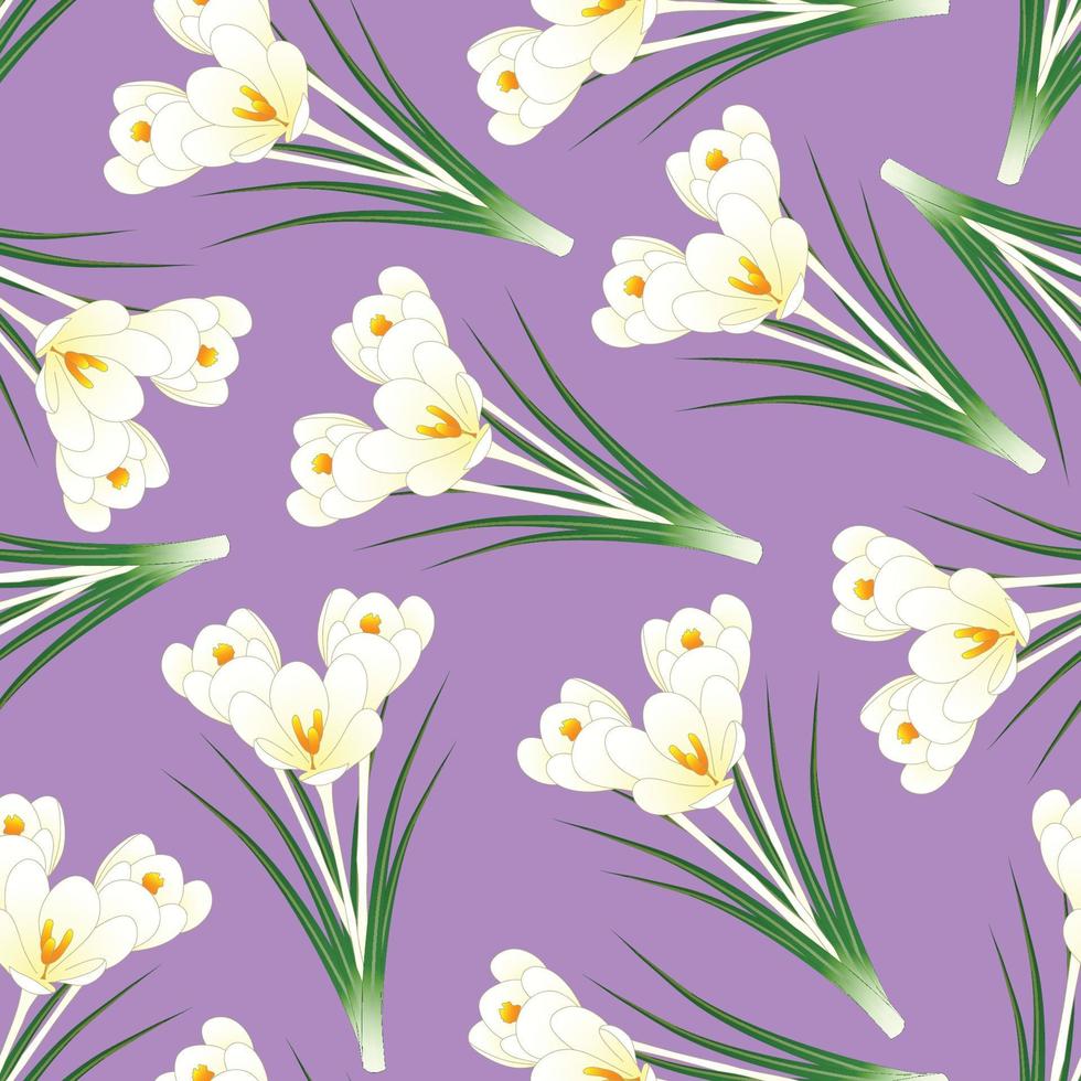 flor de azafrán blanca sobre fondo violeta claro vector