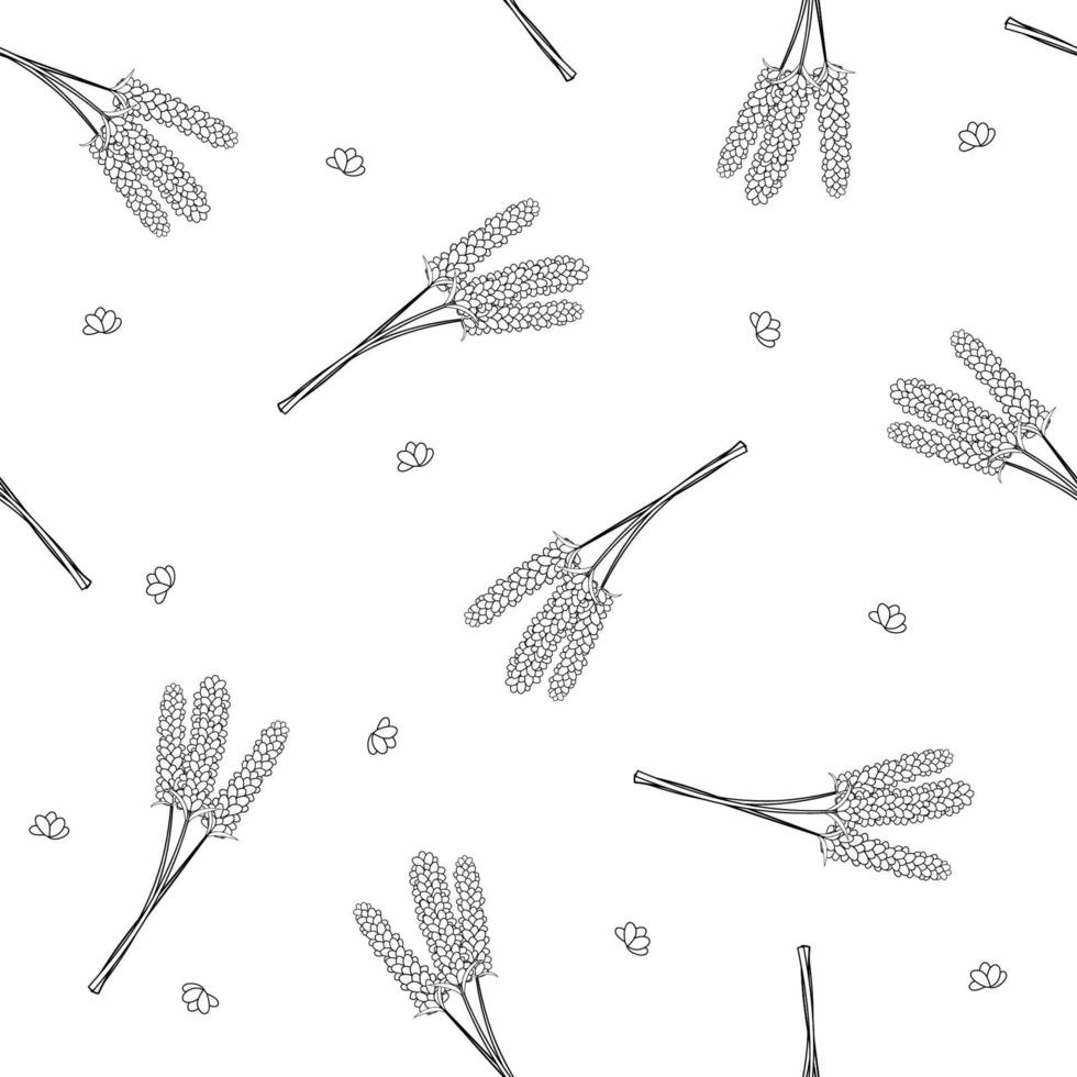 Lavender Flower Outline Seamless on White Background. vector