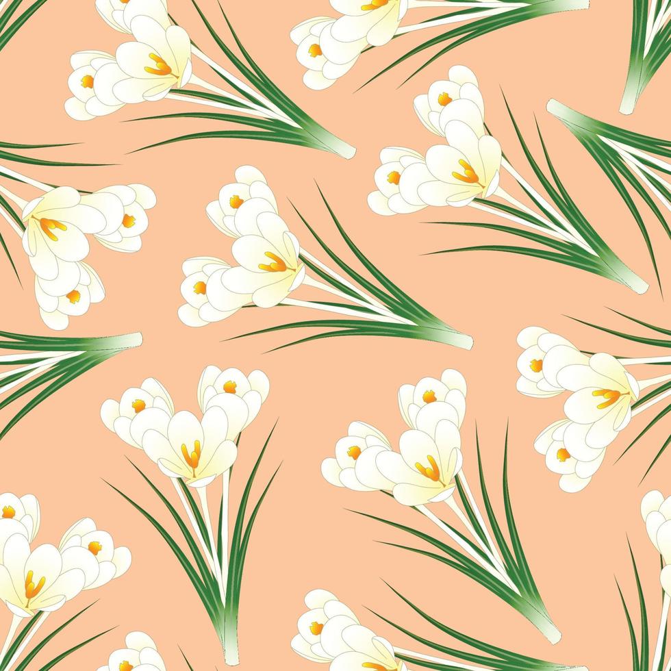 White Crocus Flower on Light Orange Background vector