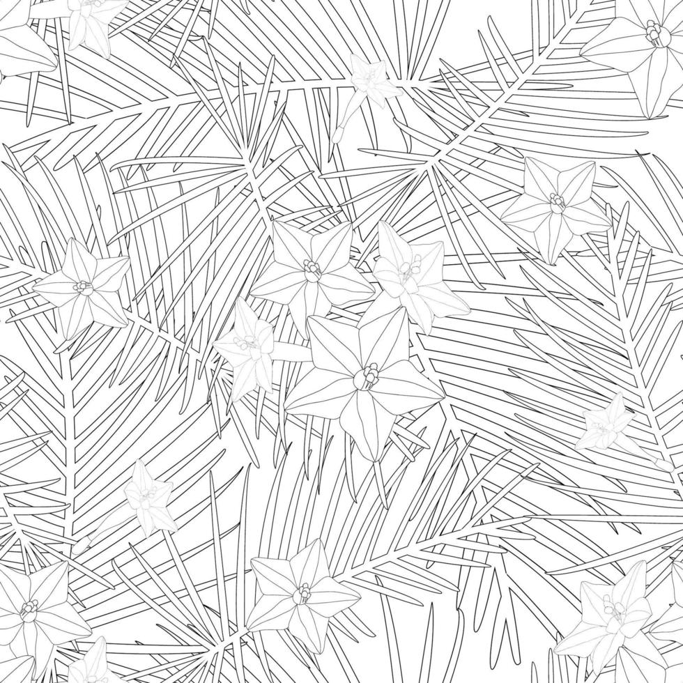 Cypress Vine Flower Outline Background vector